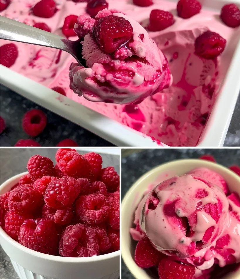 Vegan Raspberry Ice Cream — Creamy, Fruity & Dreamily Pink! 🌿